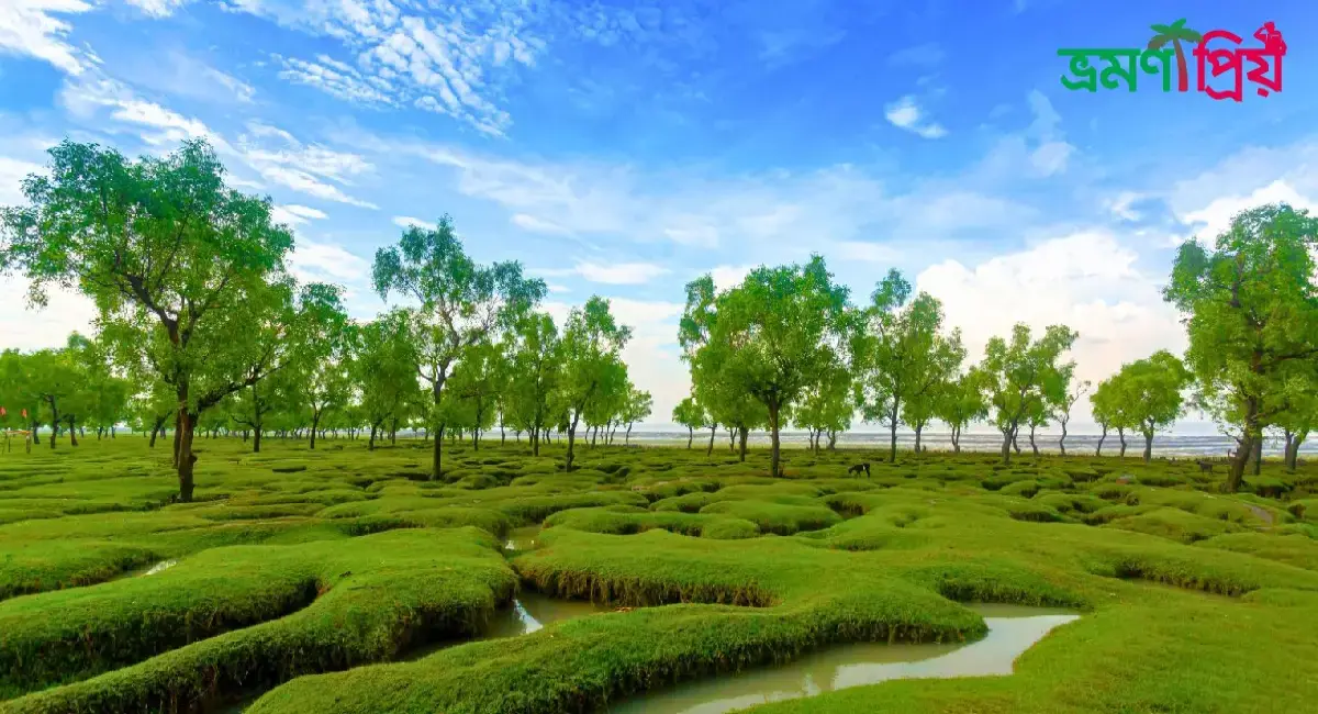 গুলিয়াখালী সমুদ্র সৈকত কিভাবে যাবেন, থাকা-খাওয়ার সকল খরচ