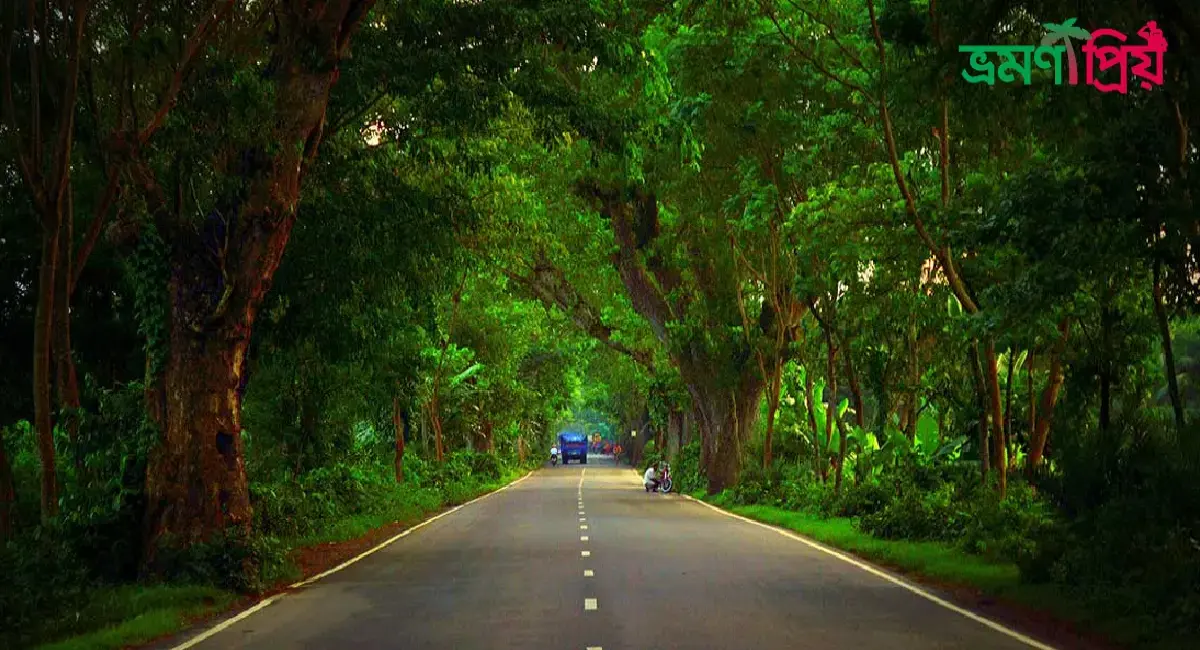 যশোর রোড কিভাবে যাবেন, আসা-যাওয়ার সকল খরচ - ভ্রমণপ্রিয়
