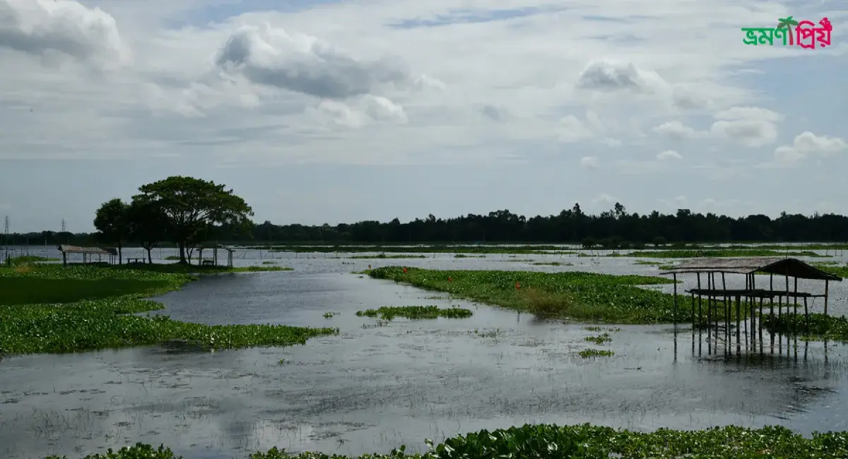 জল ও জঙ্গলের কাব্য কিভাবে যাবেন, থাকা খাওয়া এবং প্রবেশ মুল্য