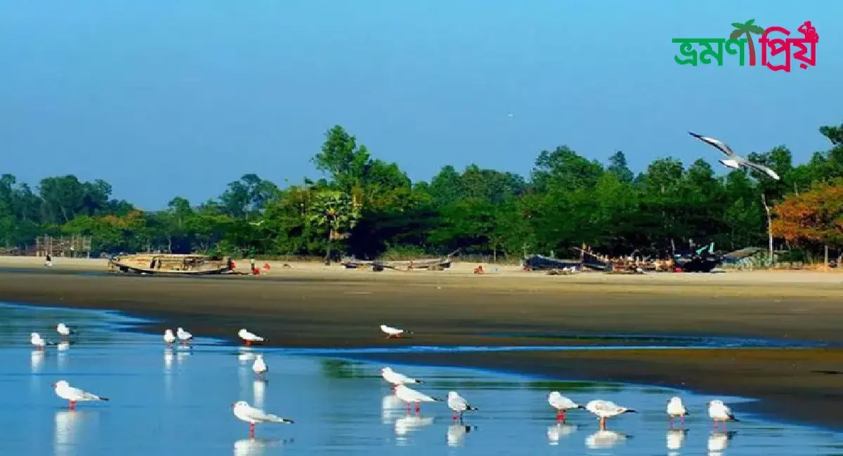 কুতুবদিয়া দ্বীপ কিভাবে যাবেন, আসা-যাওয়ার সকল খরচ- ভ্রমণপ্রিয়