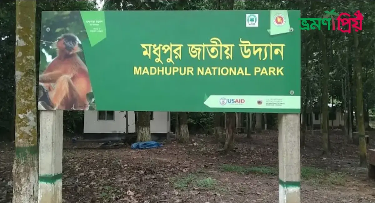 মধুপুর জাতীয় উদ্যান কিভাবে যাবেন, কি দেখবেন, থাকা-খাওয়া