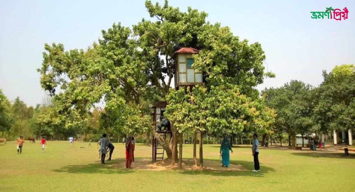 নুহাশ পল্লী কিভাবে যাবেন, থাকা খাওয়া সকল তথ্য - ভ্রমণপ্রিয়