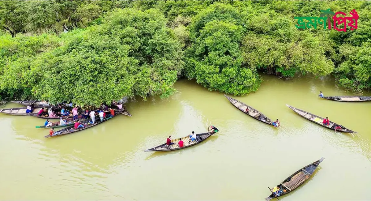 রাতারগুল সোয়াম্প ফরেস্ট কিভাবে যাবেন, আসা-যাওয়ার সকল খরচ