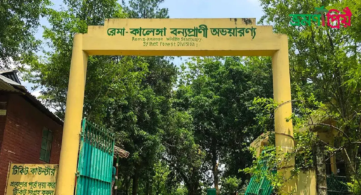 রেমা-কালেঙ্গা অভয়ারণ্য কিভাবে যাবেন, আসা-যাওয়ার সকল খরচ