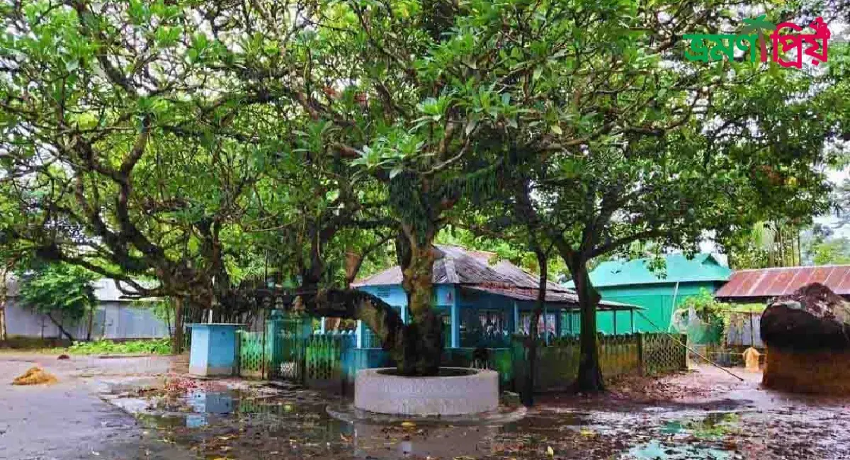 শের আলী গাজীর মাজার কিভাবে যাবেন, আসা-যাওয়ার সকল খরচ